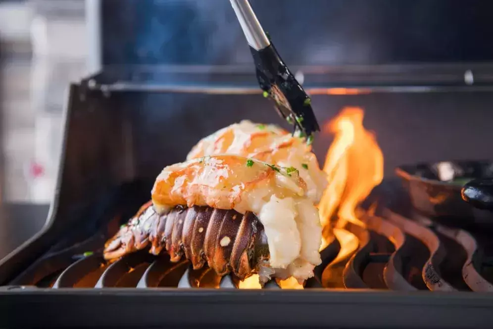 Escova de cozinha Napoleon PRO em silicone e aço inoxidável para alinhavar