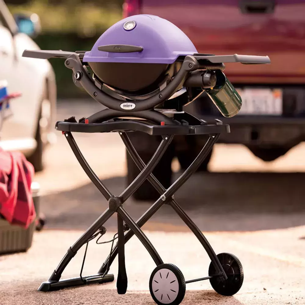 Barbacoa-de-Gas-WEBER---Q1200-purple---Gas